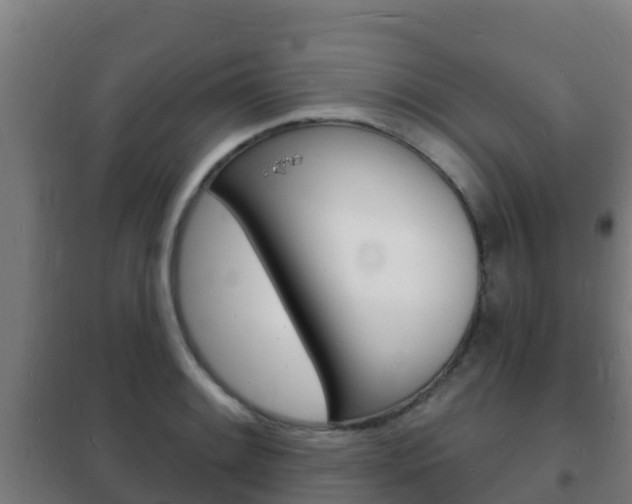 X0000102231084200807250803