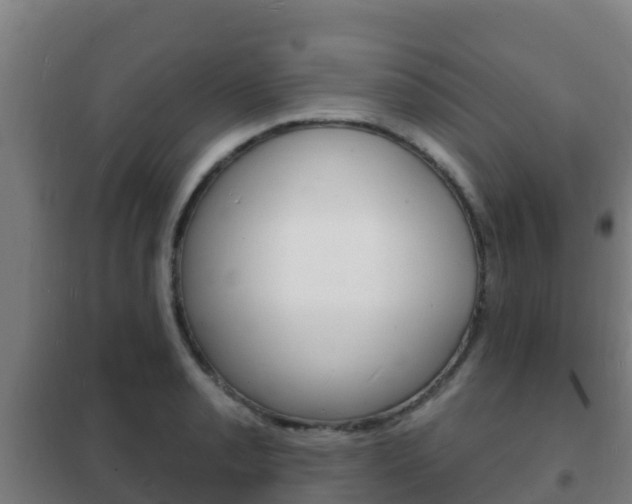 X0000102231085200807250803