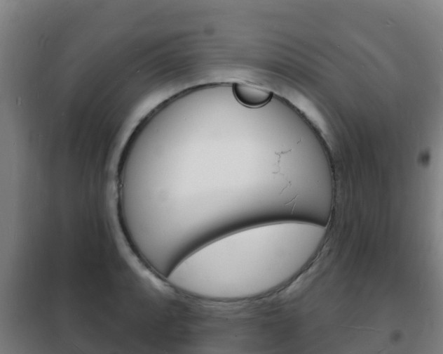 X0000102231088200807250803