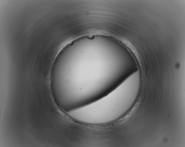X0000102231089200807250803