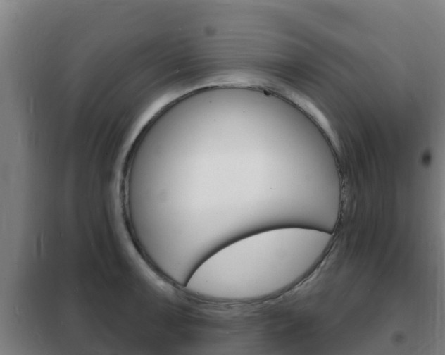 X0000102231091200807250803