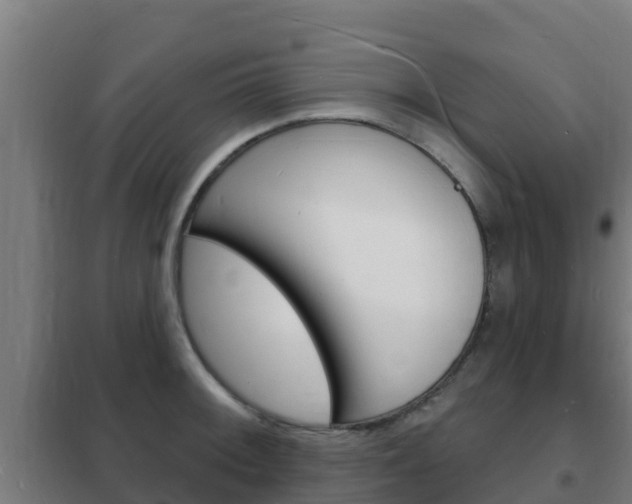 X0000102231092200807250803