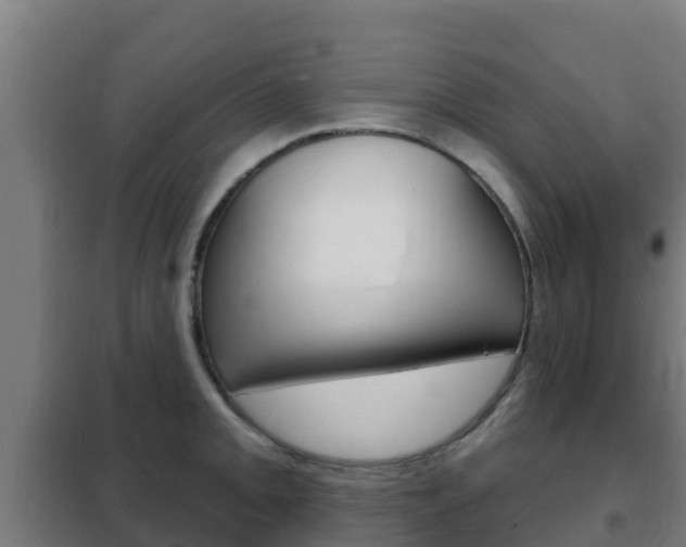 X0000102231093200807250803