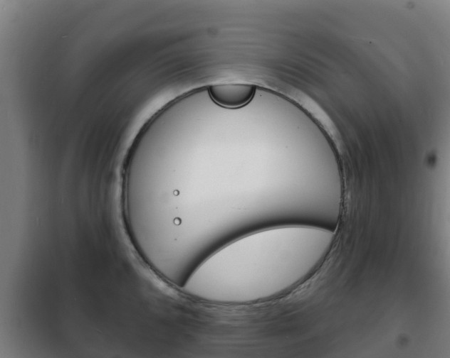 X0000102231096200807250803