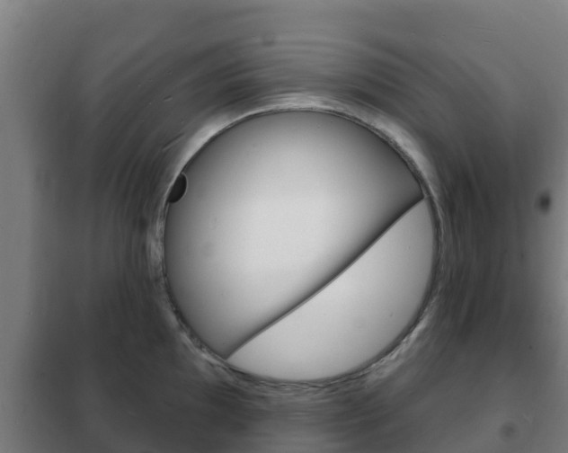 X0000102231097200807250803