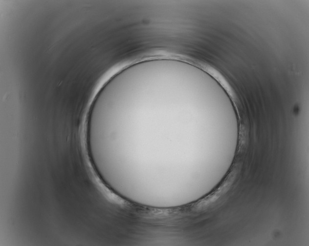 X0000102231098200807250803