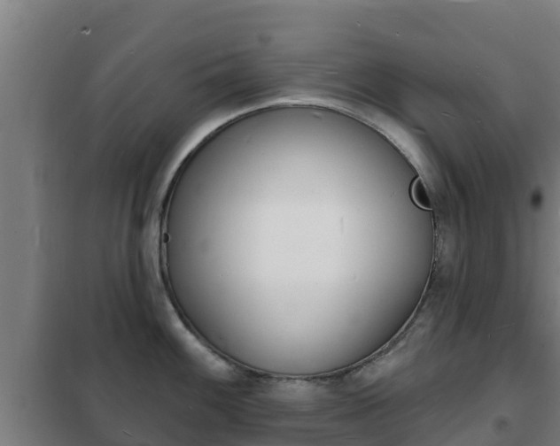 X0000102231100200807250803