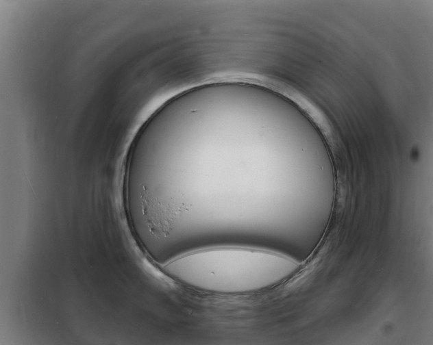 X0000102231102200807250803