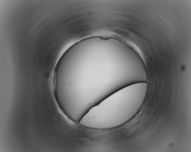 X0000102231103200807250803