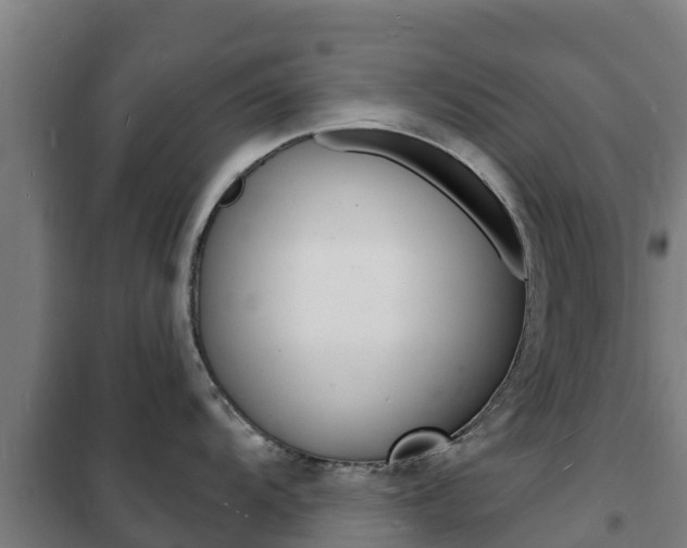 X0000102231104200807250803