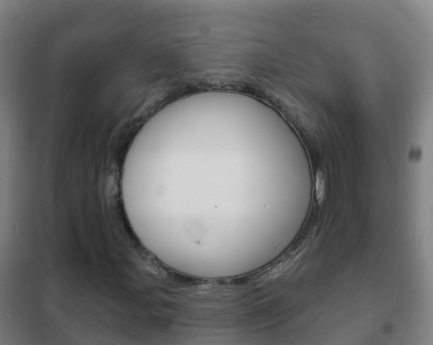 X0000102231107200807250802
