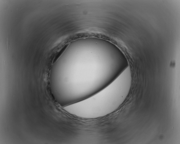 X0000102231110200807250802