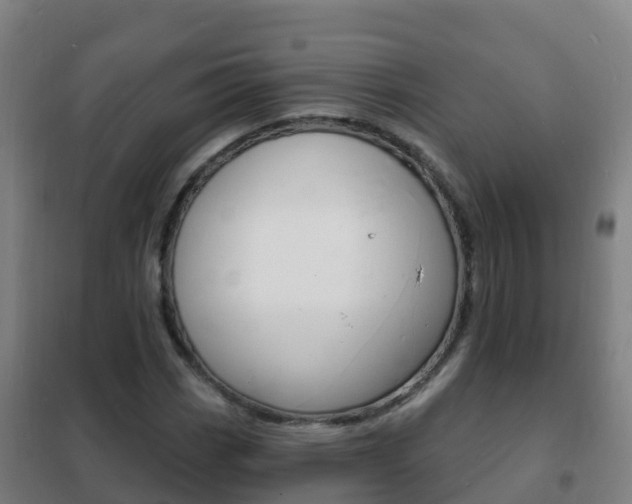 X0000102231113200807250802