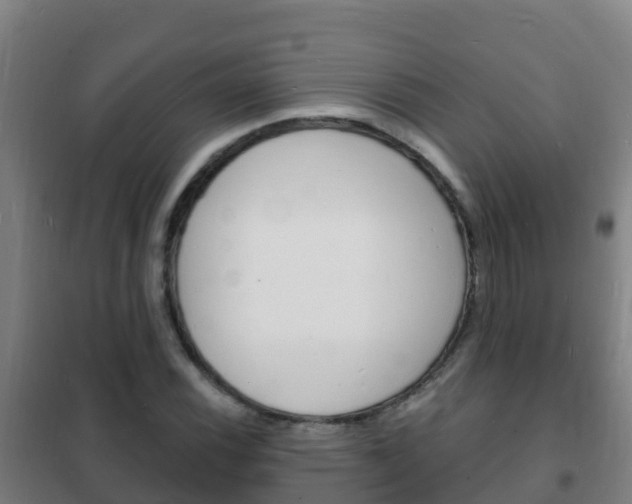 X0000102231116200807250802