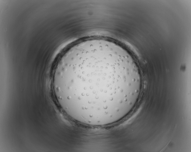 X0000102231117200807250802