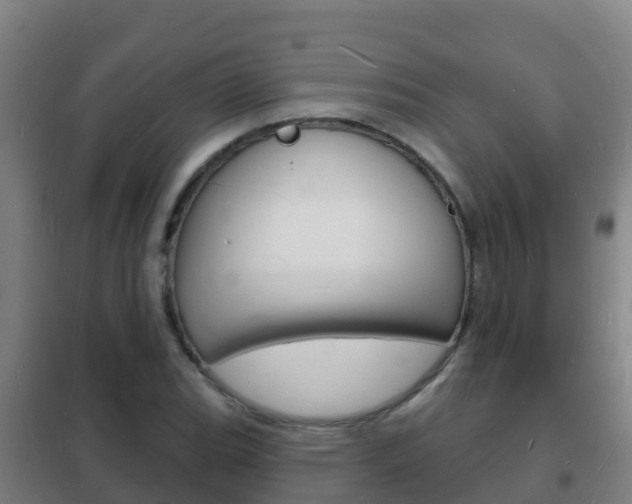 X0000102231119200807250802