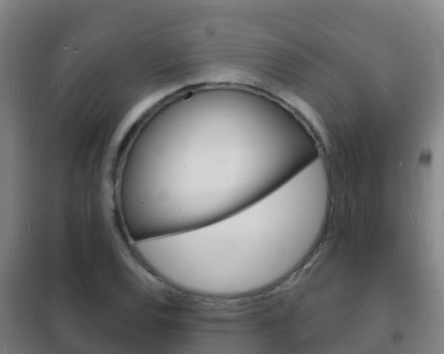 X0000102231120200807250802