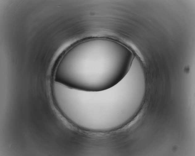 X0000102231122200807250802