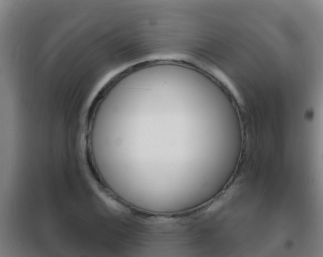 X0000102231124200807250802
