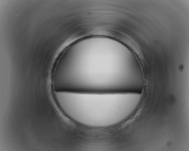 X0000102231133200807250802