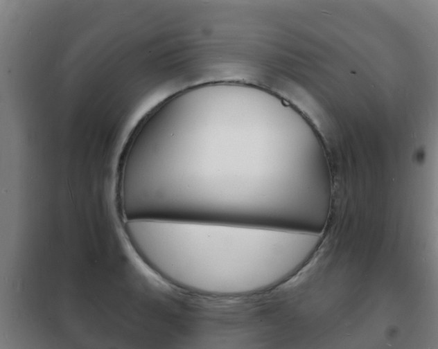 X0000102231135200807250802