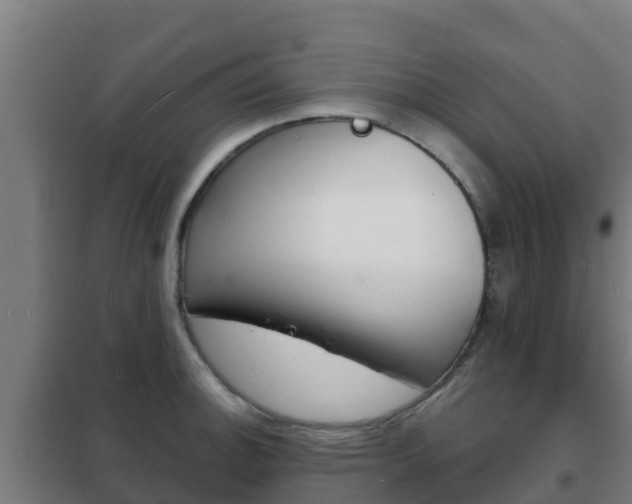 X0000102231140200807250803