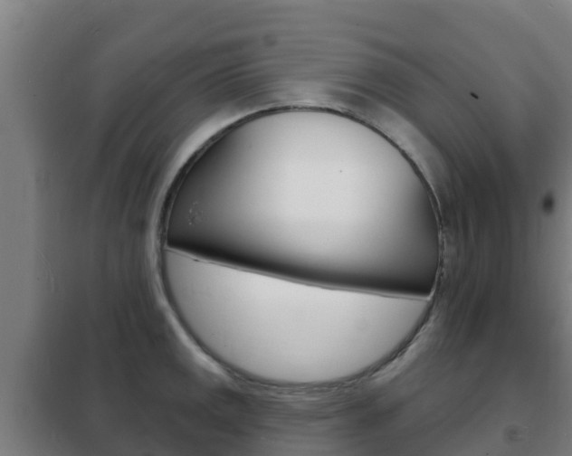 X0000102231141200807250803