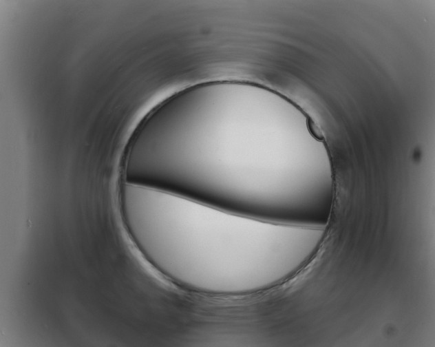 X0000102231142200807250803