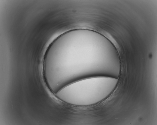 X0000102231144200807250803