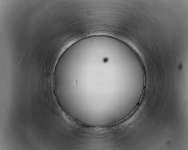 X0000102231145200807250803