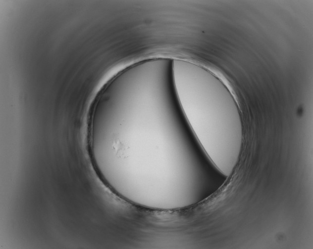 X0000102231147200807250803