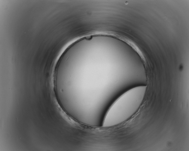 X0000102231148200807250803