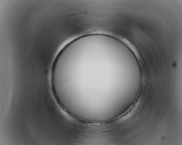 X0000102231149200807250803
