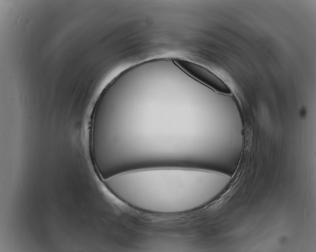 X0000102231151200807250803