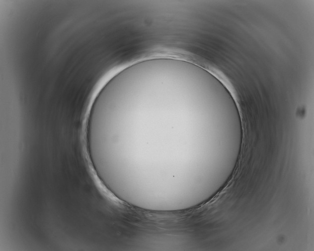 X0000102231152200807250803
