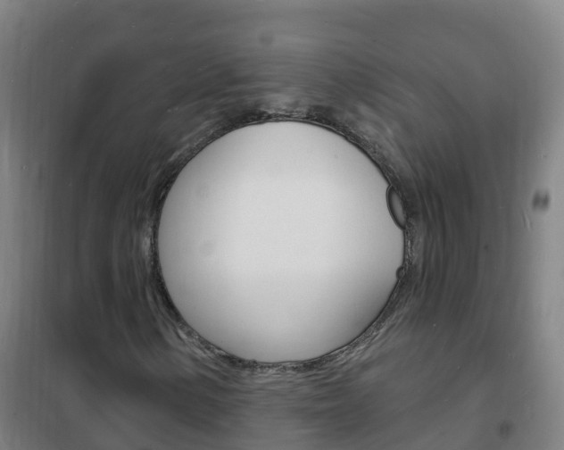 X0000102231154200807250802