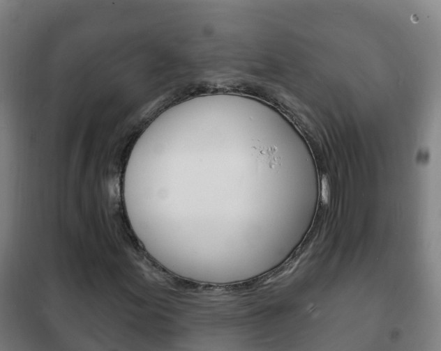 X0000102231155200807250802