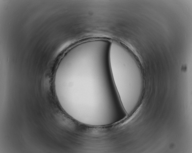 X0000102231163200807250802