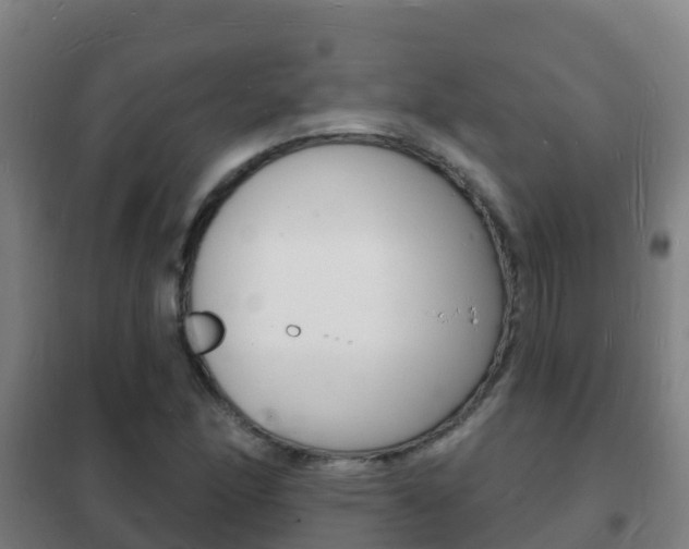 X0000102231166200807250802