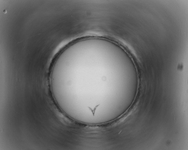 X0000102231168200807250802