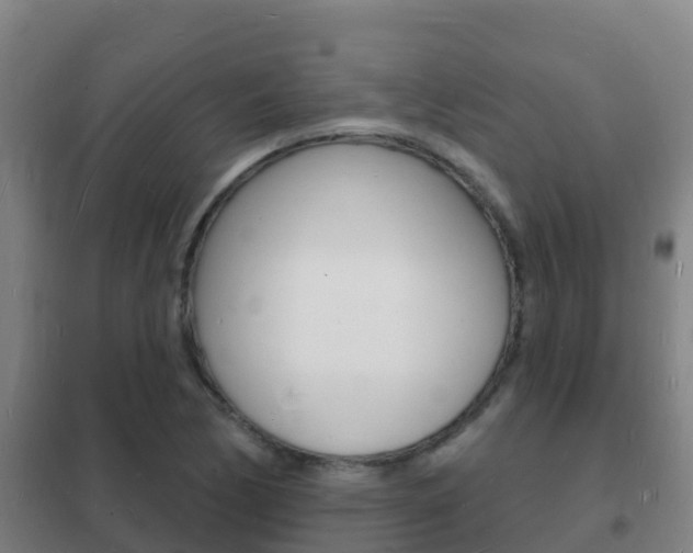 X0000102231170200807250802
