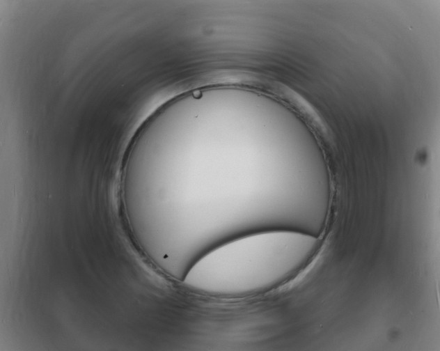 X0000102231178200807250801