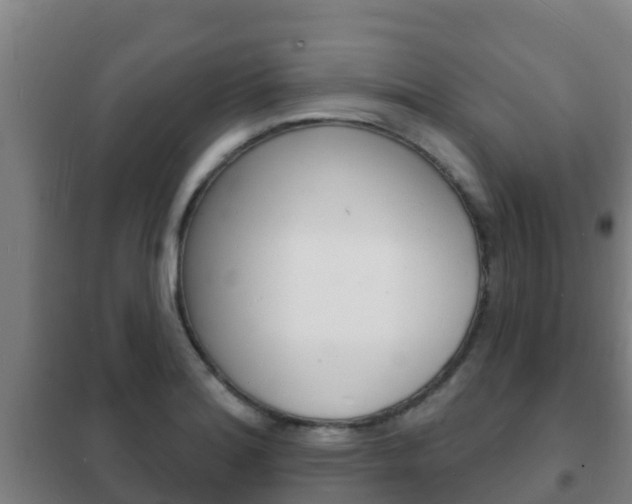 X0000102231180200807250801