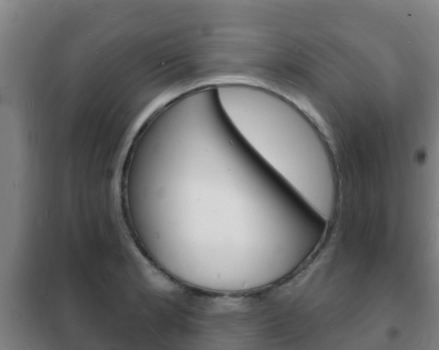 X0000102231181200807250801
