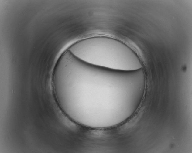 X0000102231182200807250801