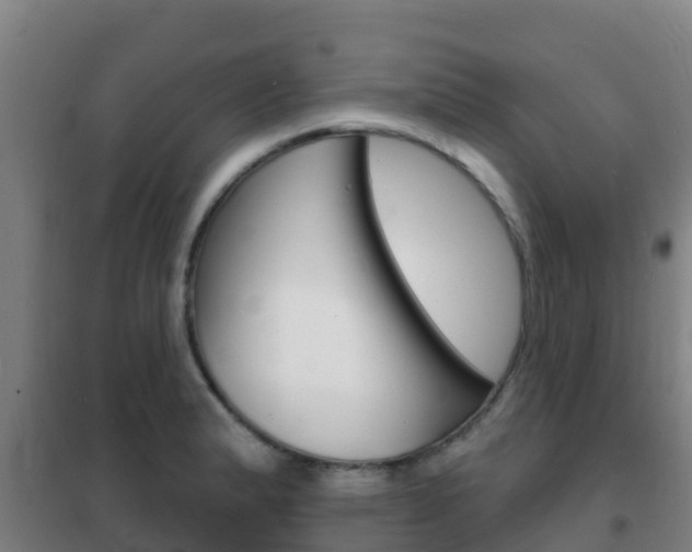 X0000102231183200807250801