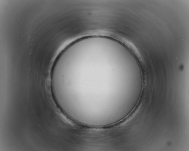 X0000102231184200807250801