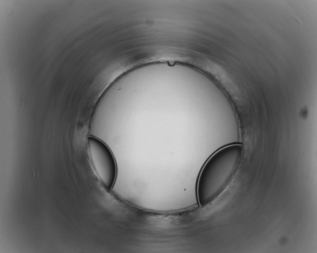 X0000102231185200807250801