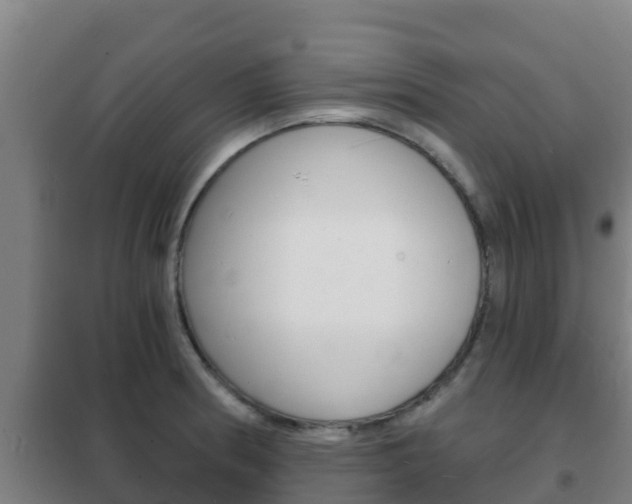 X0000102231186200807250801