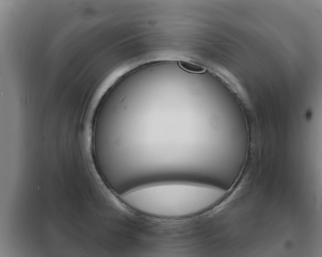 X0000102231188200807250801